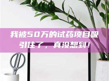 孝昌我被50万的试药项目吸引住了，真没想到！