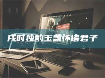 孝昌戌时独酌玉盏怀诸君子