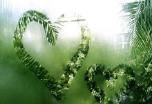 天涯娱乐圈爆料神贴：一贴勾起十个热搜，原来星味儿都是这么放出的！