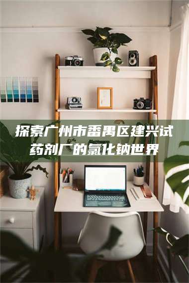 孝昌探索广州市番禺区建兴试药剂厂的氯化钠世界 第1张