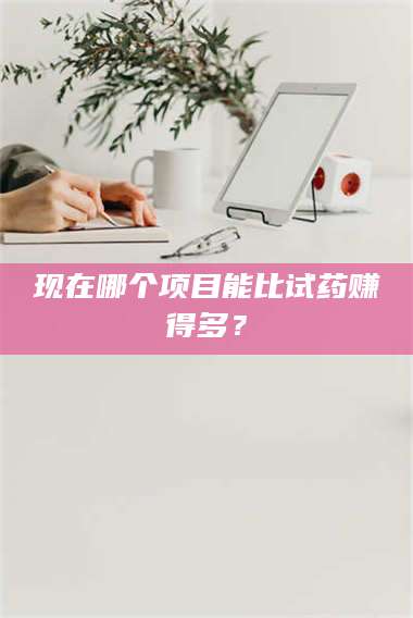 孝昌现在哪个项目能比试药赚得多？ 第1张