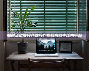 孝昌临时工也能月入过万？揭秘高效率任务平台 第1张