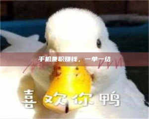 孝昌手机兼职赚钱，一单一结 第1张