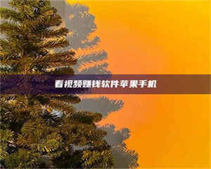 孝昌看视频赚钱软件苹果手机 第1张